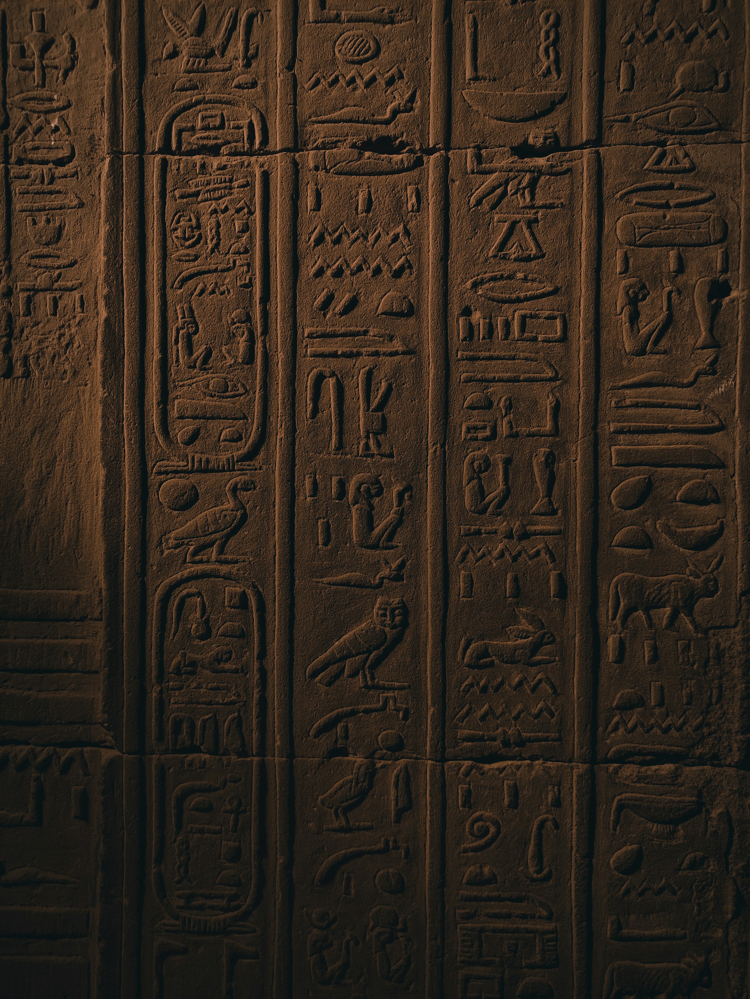 Background Pattern